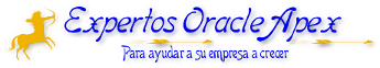 Expertos Oracle Apex